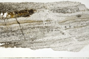 Plane Polarized, S69773