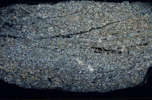 Cross Polarized, S69783