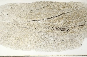 Plane Polarized, S69783