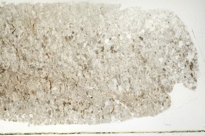 Plane Polarized, S69788