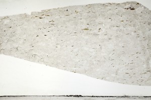 Plane Polarized, S69788/A