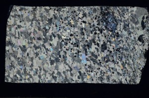 Cross Polarized, S69788/B