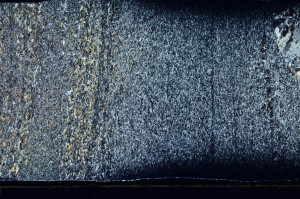 Cross Polarized, S69789