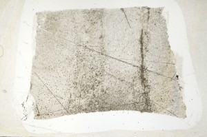 Plane Polarized, S69790/A