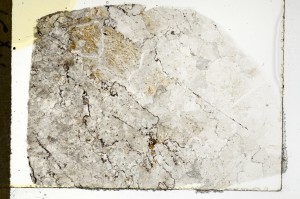 Plane Polarized, S69793