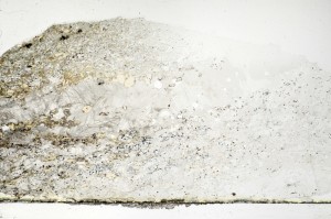 Plane Polarized, S69794