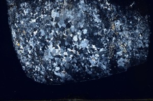 Cross Polarized, S69795