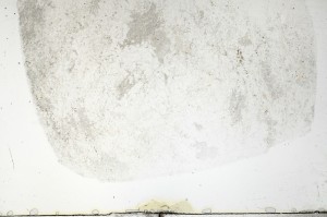 Plane Polarized, S69795