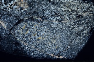 Cross Polarized, S69797