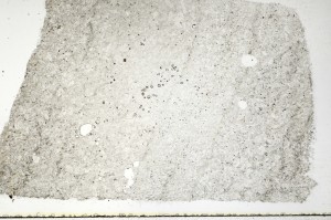 Plane Polarized, S69798