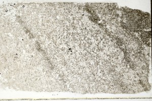 Plane Polarized, S69799