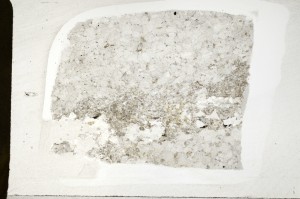 Plane Polarized, S69800/A