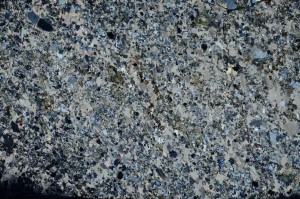 Cross Polarized, S69801