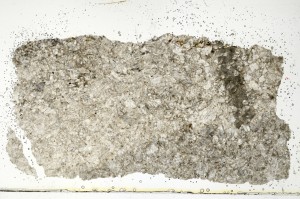 Plane Polarized, S69802