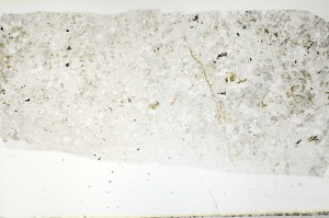 Plane Polarized, S69803