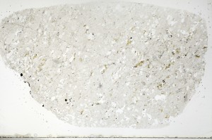 Plane Polarized, S69805