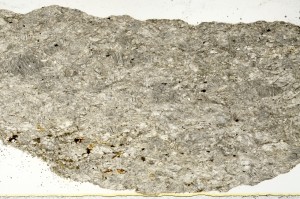 Plane Polarized, S69806