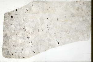 Plane Polarized, S69807/A