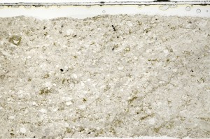 Plane Polarized, S69808