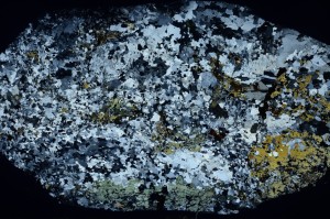 Cross Polarized, S69810