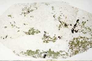 Plane Polarized, S69810