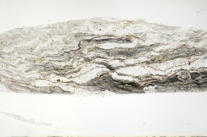 Plane Polarized, S69819