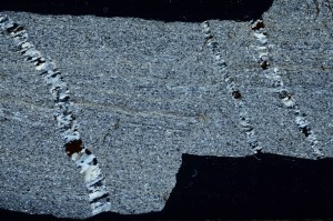 Cross Polarized, S69827