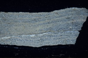 Cross Polarized, S69828
