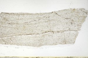 Plane Polarized, S69828