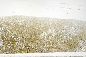 Plane Polarized, S69852
