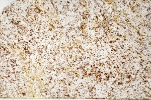 Plane Polarized, S69854