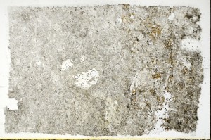 Plane Polarized, S69855