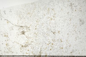 Plane Polarized, S69861