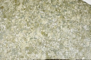 Plane Polarized, S69872