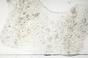 Plane Polarized, S69879