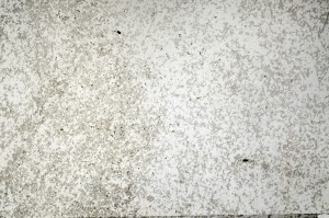 Plane Polarized, S69883