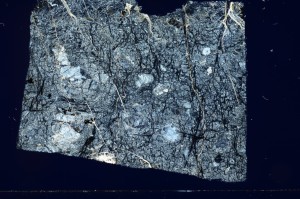 Cross Polarized, S69949