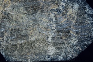 Cross Polarized, S69967