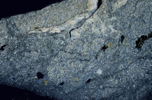 Cross Polarized, S69978