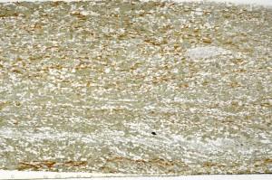 Plane Polarized, S69997