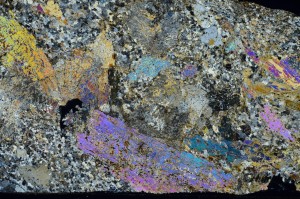 Cross Polarized, S70050