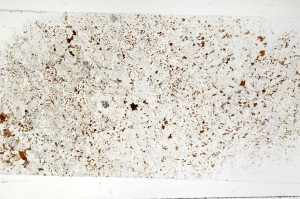 Plane Polarized, S70051