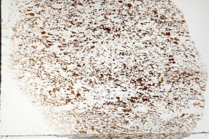 Plane Polarized, S70052