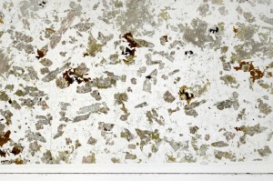 Plane Polarized, S70055