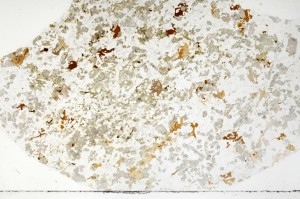 Plane Polarized, S70058