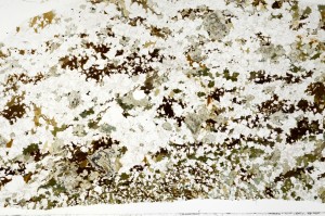 Plane Polarized, S70060/A