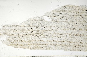 Plane Polarized, S70204