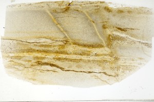 Plane Polarized, S70227