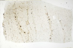 Plane Polarized, S70234