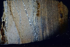 Cross Polarized, S70235